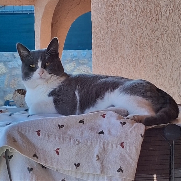 ππAutum πͺΎπ₯ - Picture 8 of 8